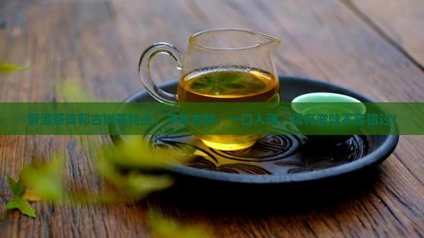 普洱茶倚邦古树茶特点 普洱茶倚邦古树茶特点