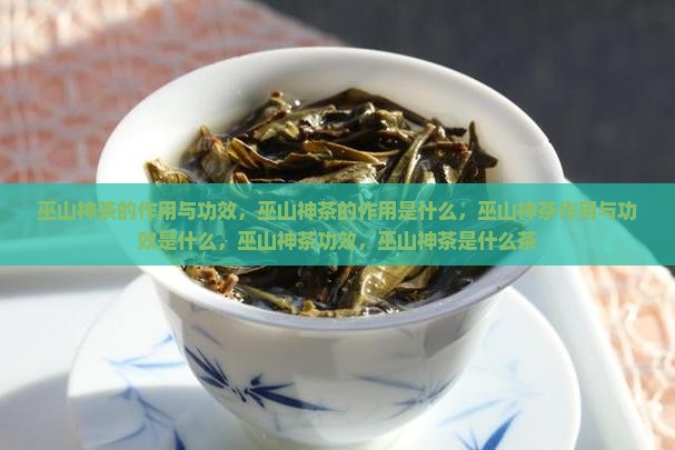 巫山神茶的作用