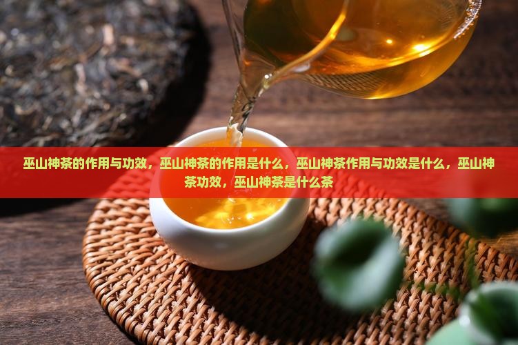 巫山神茶的作用