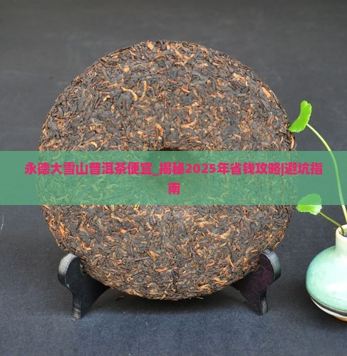 永德大雪山普洱茶便宜