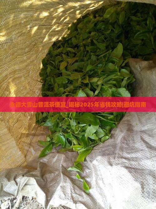 永德大雪山普洱茶便宜