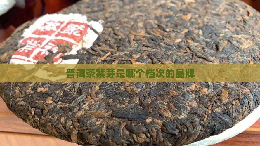 普洱茶紫芽是哪个档次的品牌