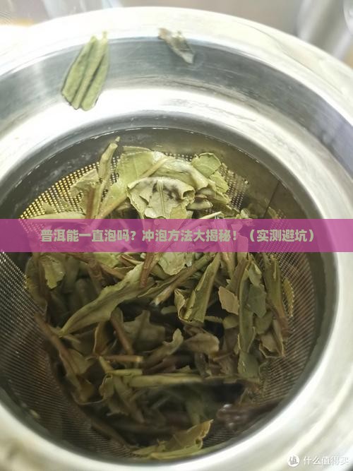 普洱能一直泡吗直接冲泡的普洱茶