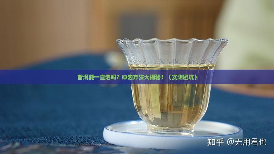 普洱能一直泡吗直接冲泡的普洱茶