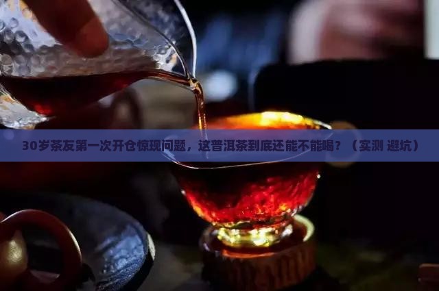 醒悟普洱茶第三次开仓