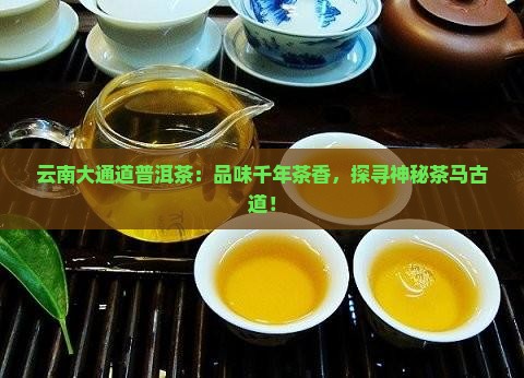 云南大通道普洱茶