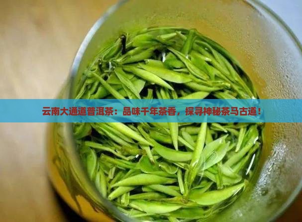 云南大通道普洱茶