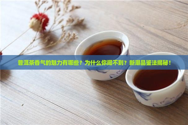 普洱茶香气的魅力有哪些