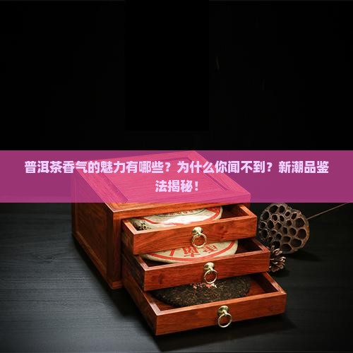 普洱茶香气的魅力有哪些
