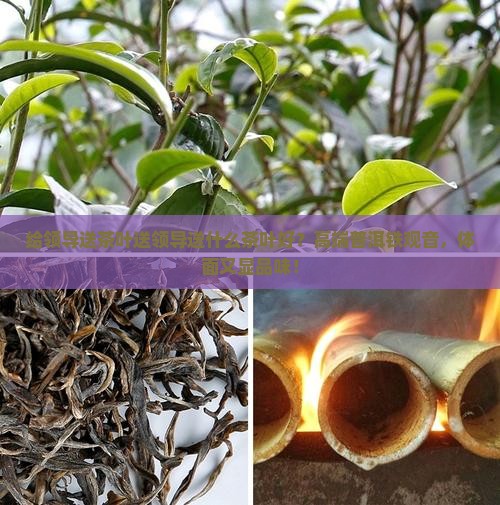 给领导送茶叶送领导送什么茶叶好