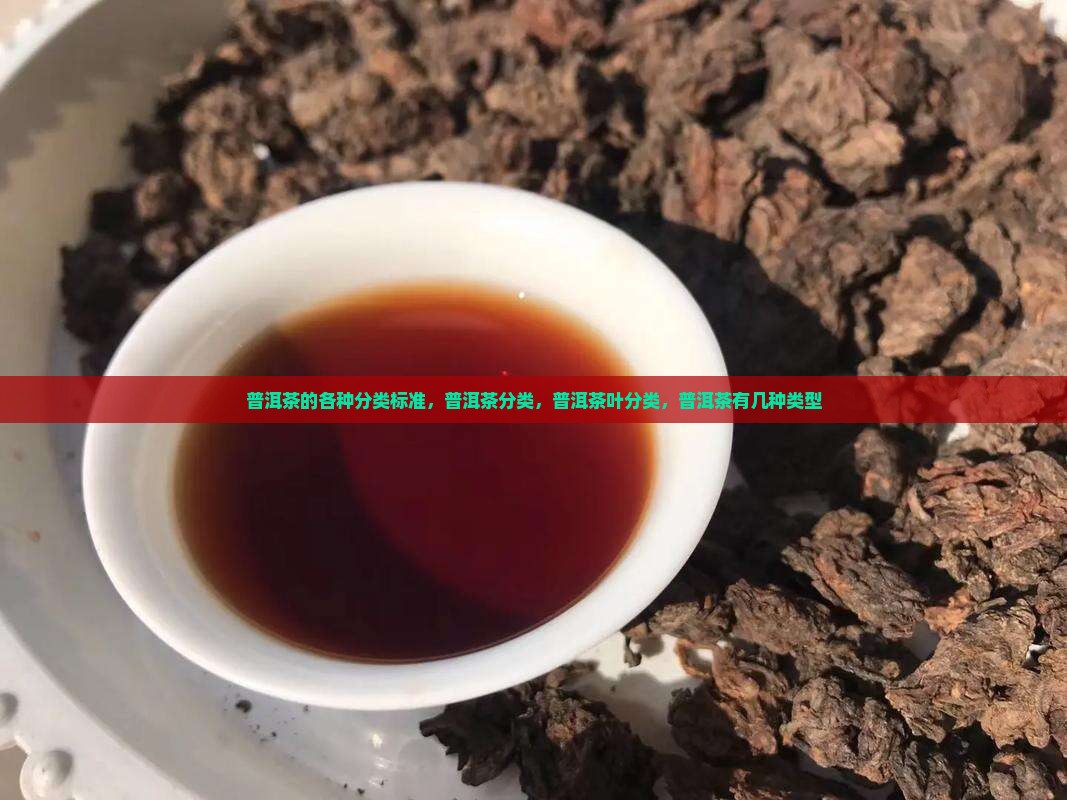 普洱茶的各种分类标准