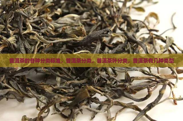 普洱茶的各种分类标准