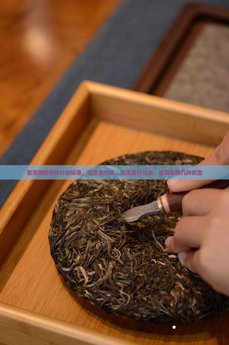 普洱茶的各种分类标准