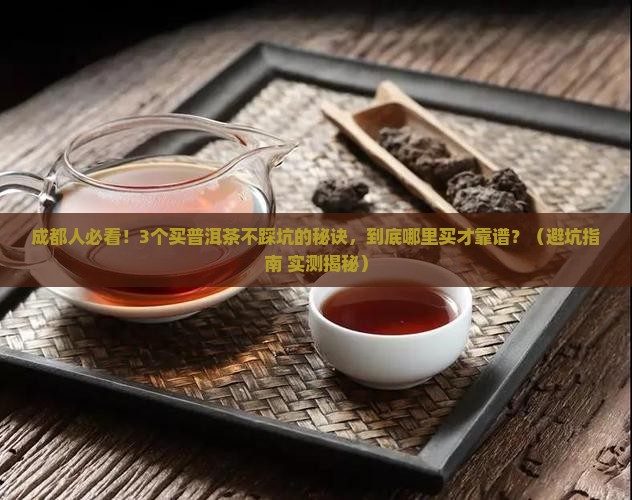 成都哪里购买普洱茶