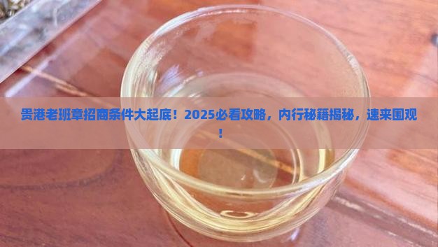 贵港老班章招商条件