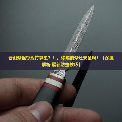 普洱茶中为什么出现竹笋虫