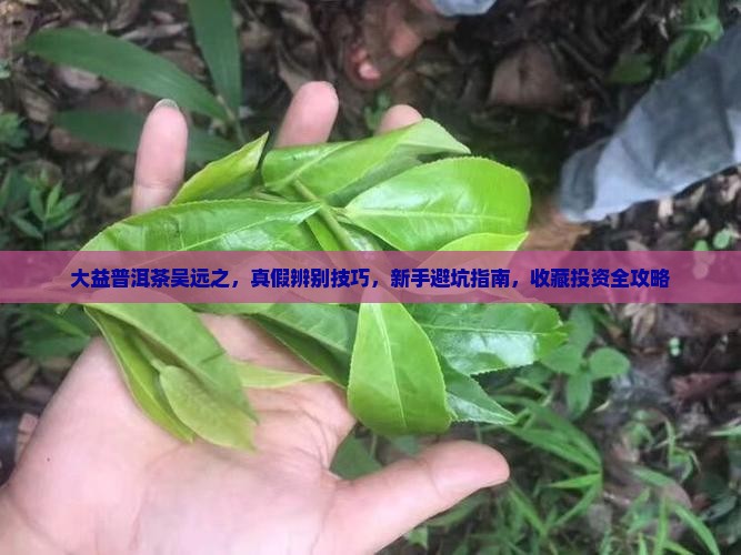 大益普洱茶吴远之
