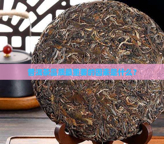普洱茶品质最重要的因素是