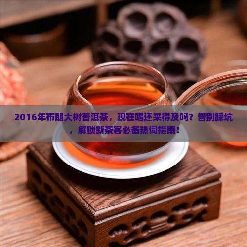 2016年布朗大树普洱茶