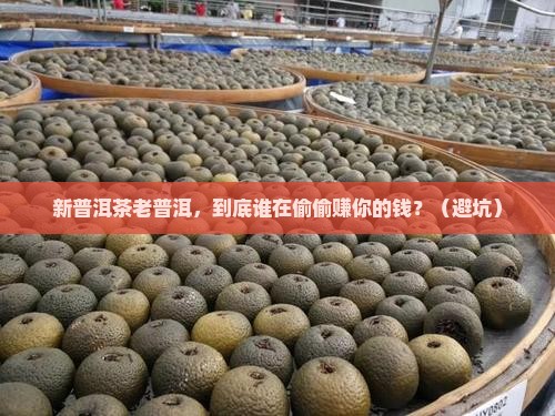 新普洱茶老普洱