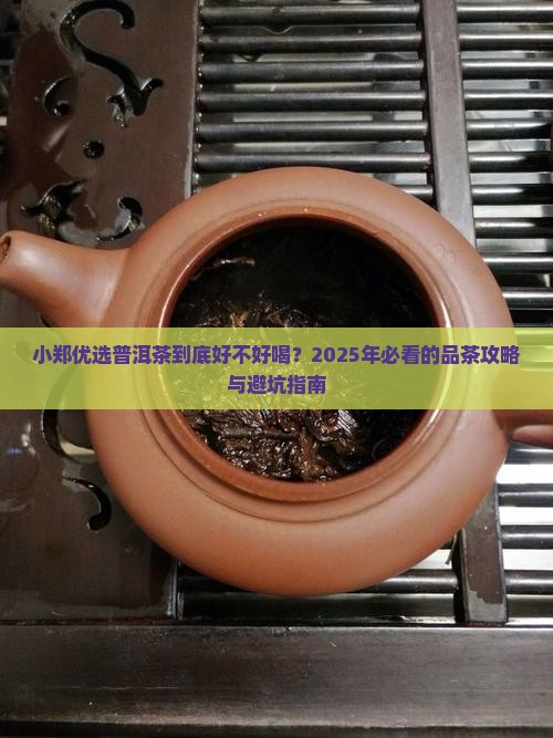 小郑优选普洱茶怎么样好喝吗