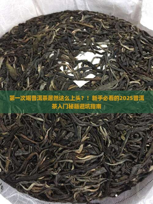 第一次接触普洱茶
