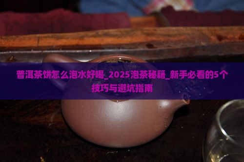 普洱茶饼怎么泡水好喝