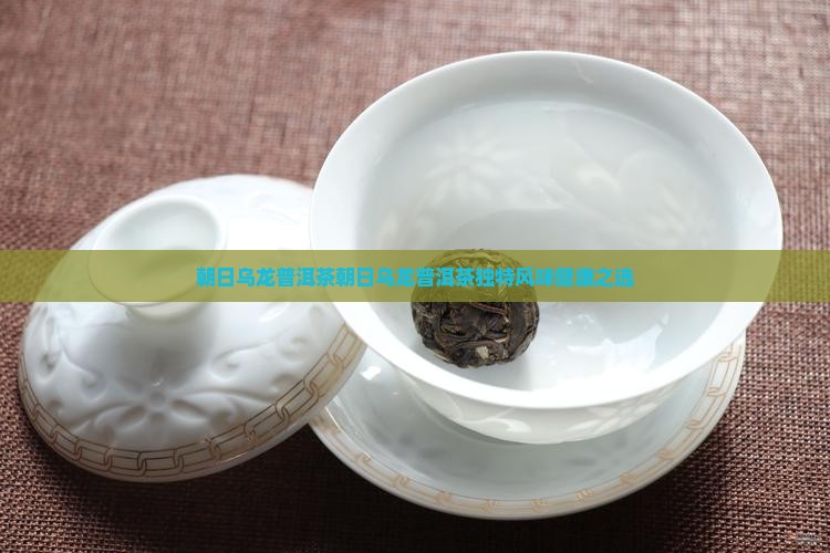 日本朝日乌龙普洱茶