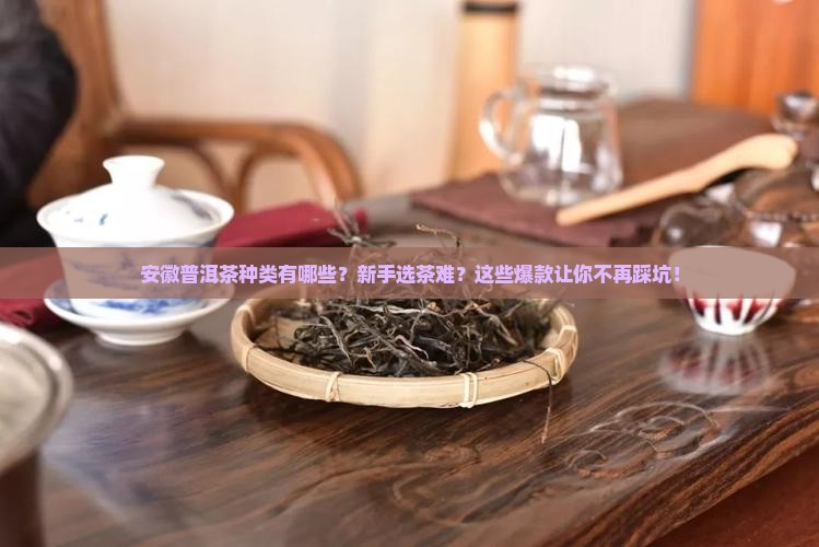 安徽普洱茶种类有哪些品牌