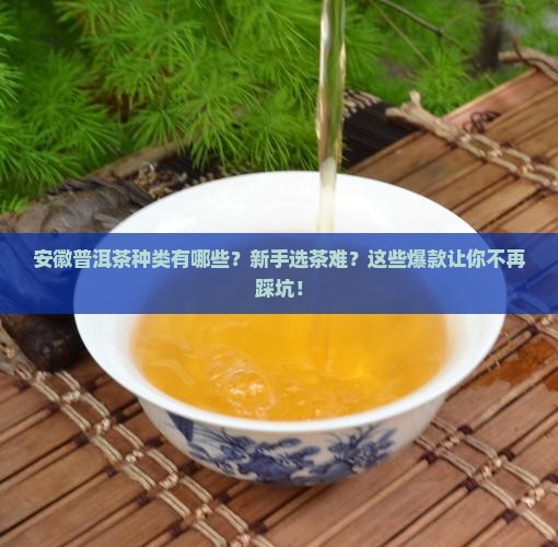 安徽普洱茶种类有哪些品牌