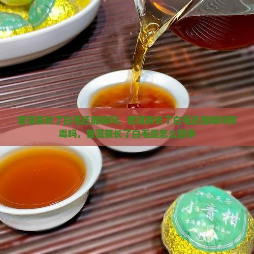 普洱茶长了白毛还能喝吗 普洱茶长了白毛还能喝吗