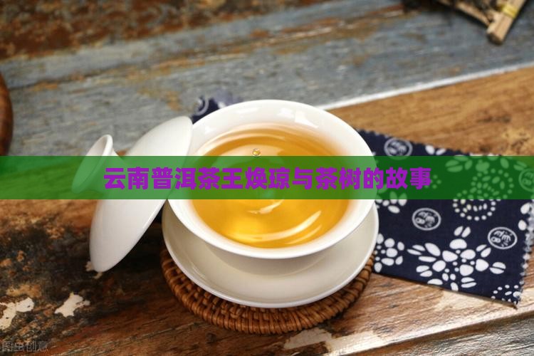 云南普洱茶王焕琼