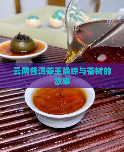 云南普洱茶王焕琼