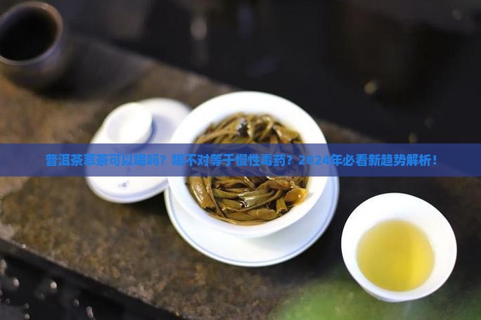 普洱茶萃茶可以喝吗