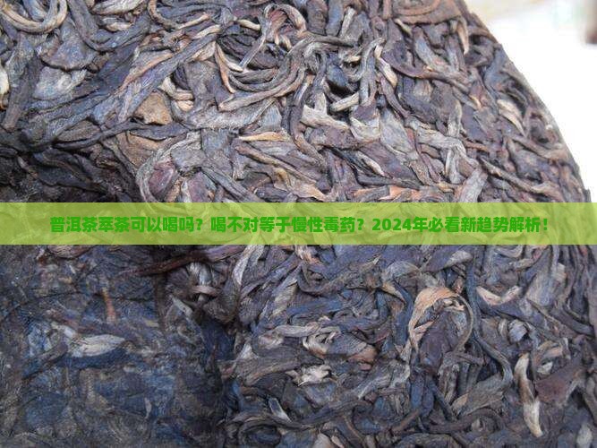 普洱茶萃茶可以喝吗