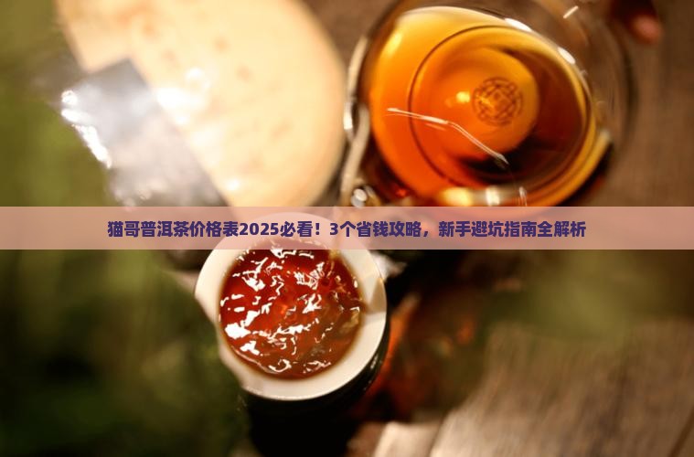 猫哥普洱茶价格表