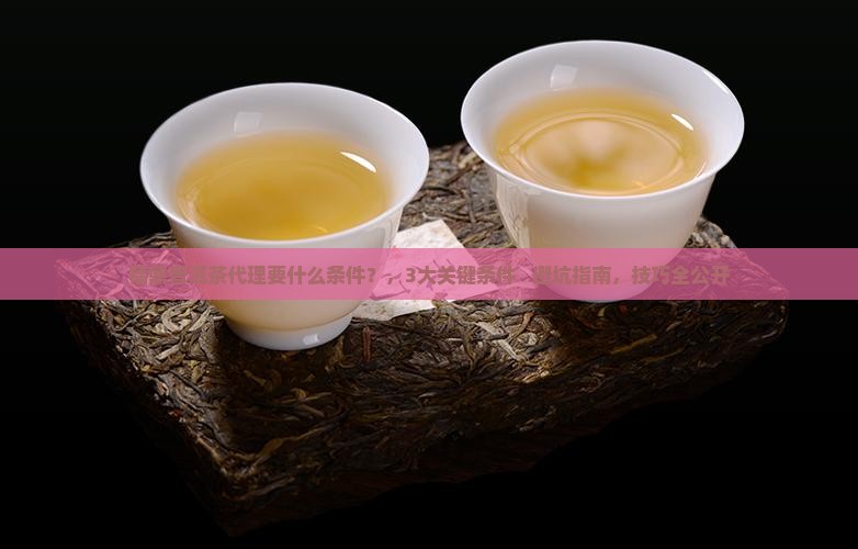 福鼎普洱茶代理要什么条件