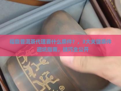 福鼎普洱茶代理要什么条件