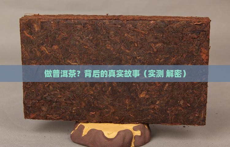 俄罗斯做普洱茶