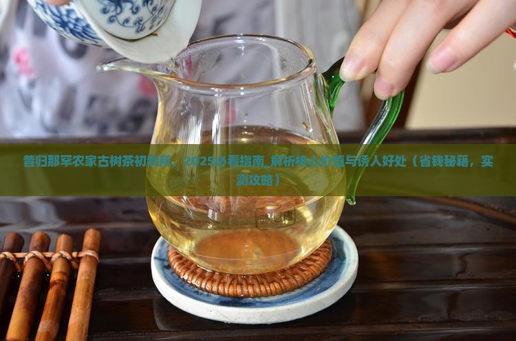 昔归那罕农家古树茶初制所