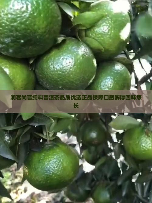 润茗尚普纯料普洱茶