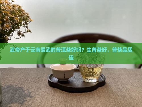 易武帝旺生普茶好吗