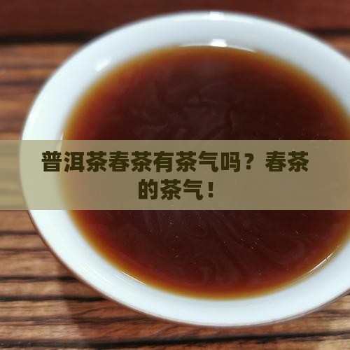 普洱茶春茶有茶气吗