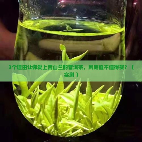 荒山兰韵普洱茶