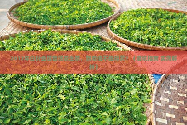 2012年白针金莲普洱茶生茶 2012年白针金莲普洱茶生茶