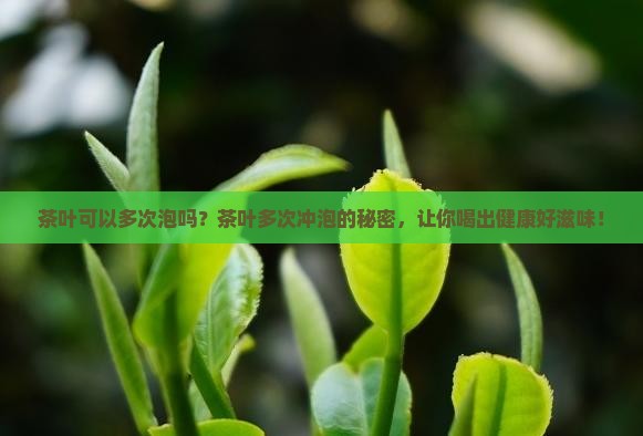 茶叶可以多次泡吗
