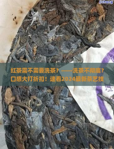 红茶需不需要洗茶