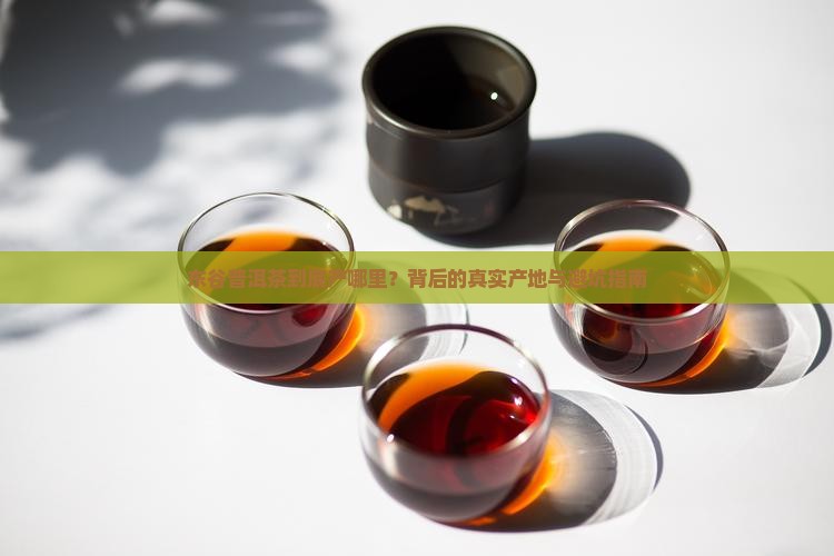 东谷普洱茶是哪里的茶