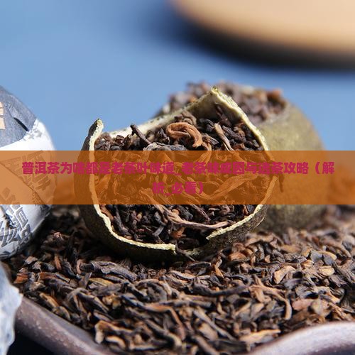 普洱茶为啥都是老茶叶味道