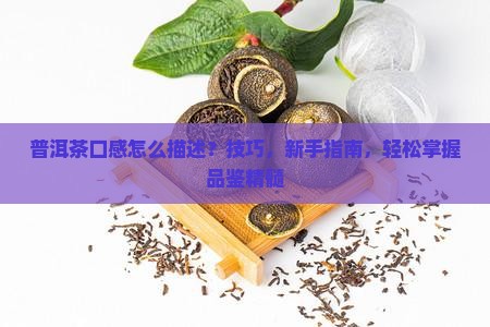 普洱茶口感怎么描述
